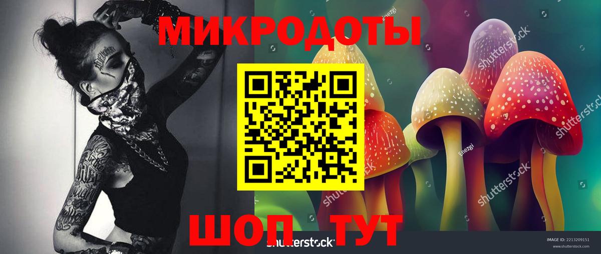 Галлюциногенные грибы Magic Shrooms Сибай